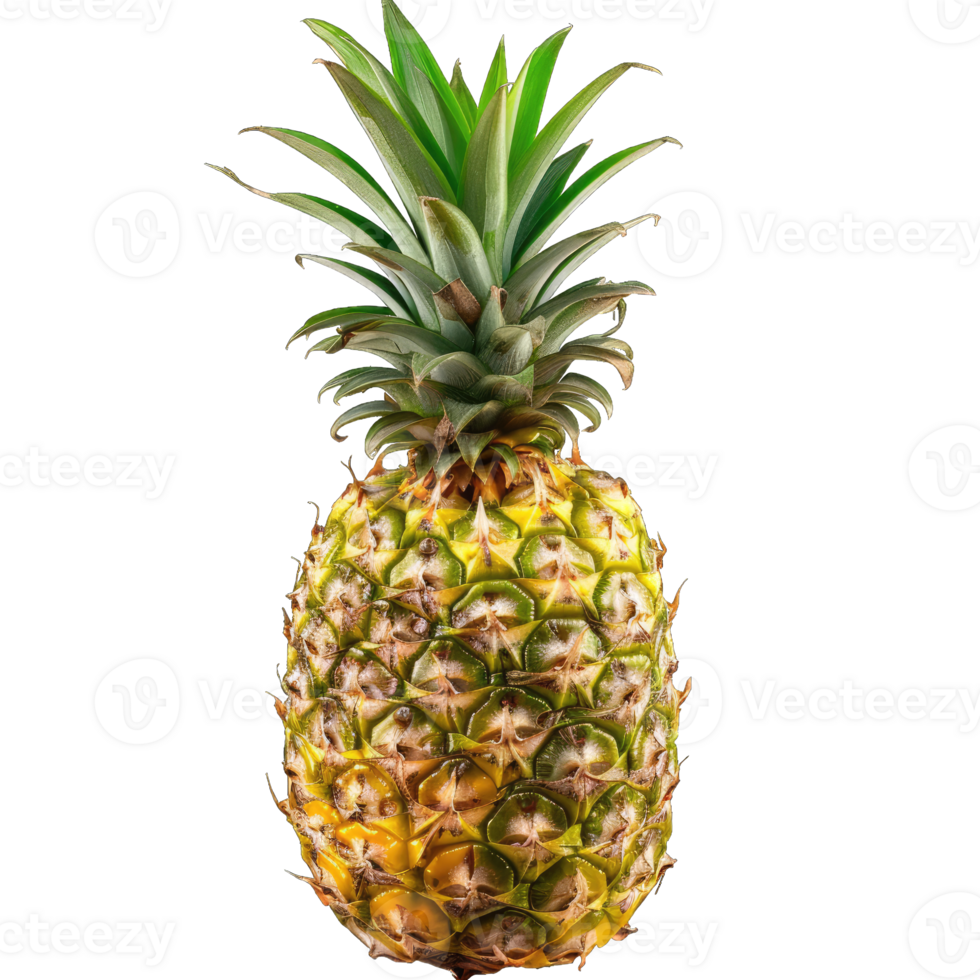 Fresh Pineapple Fruit png