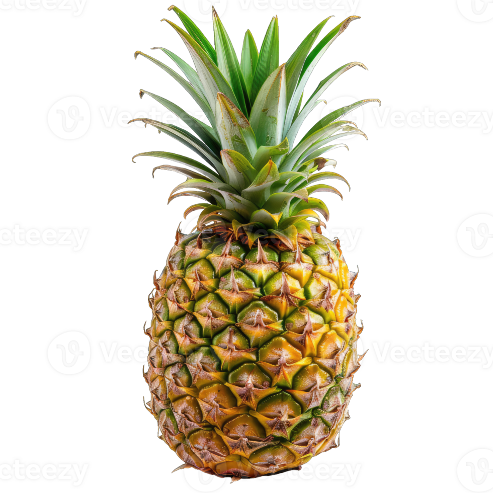 Fresh Pineapple Fruit png