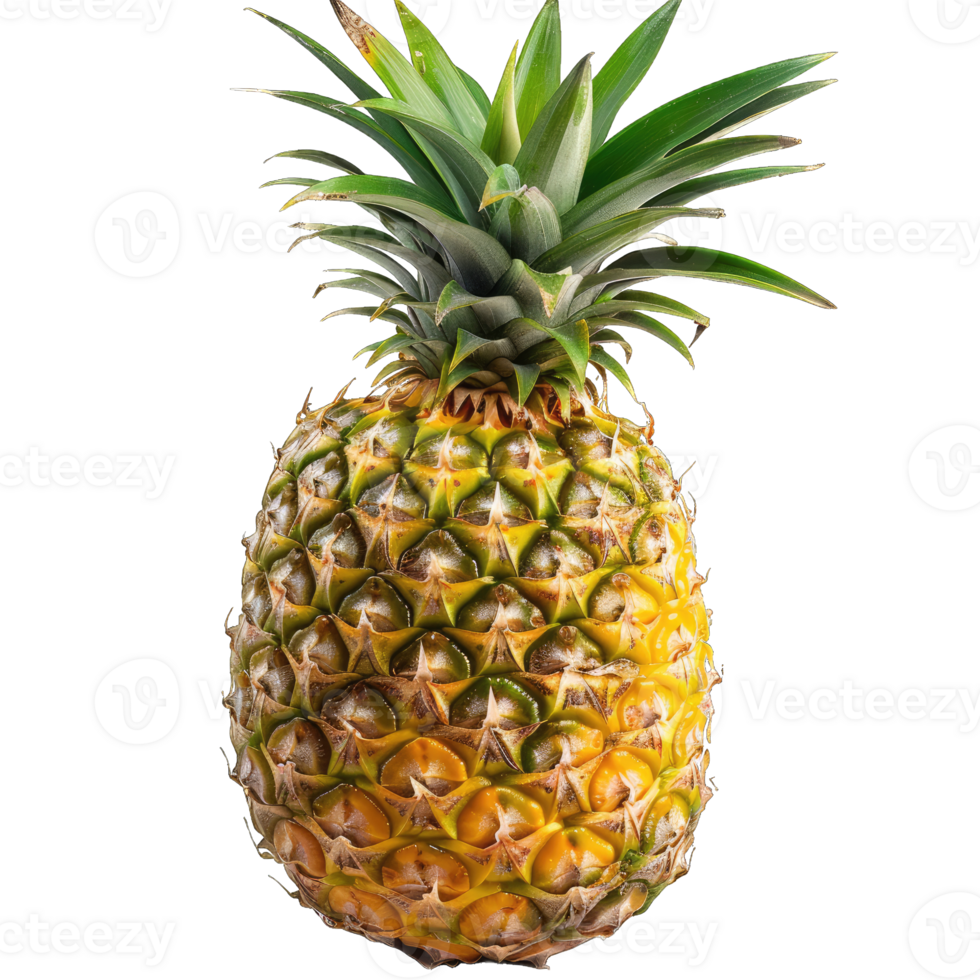 Fresh Pineapple Fruit png