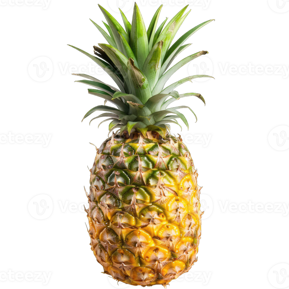 Fresh Pineapple Fruit png