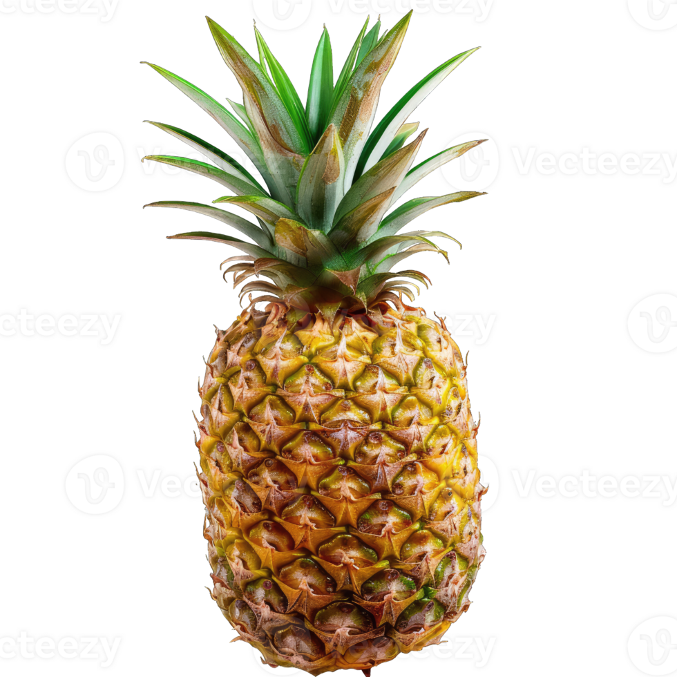 Fresh Pineapple Fruit png
