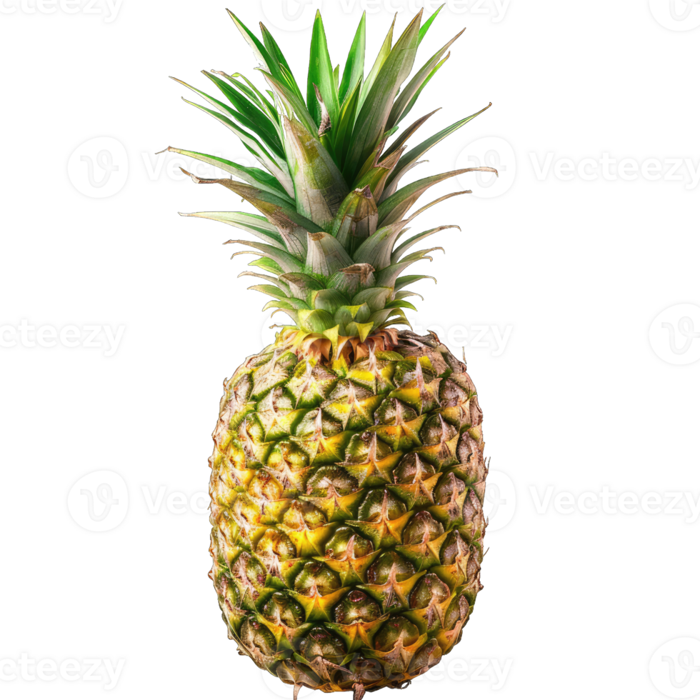 Fresh Pineapple Fruit png