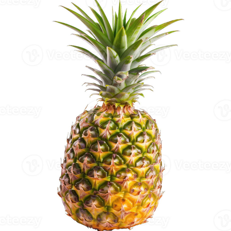 Fresh Pineapple Fruit png