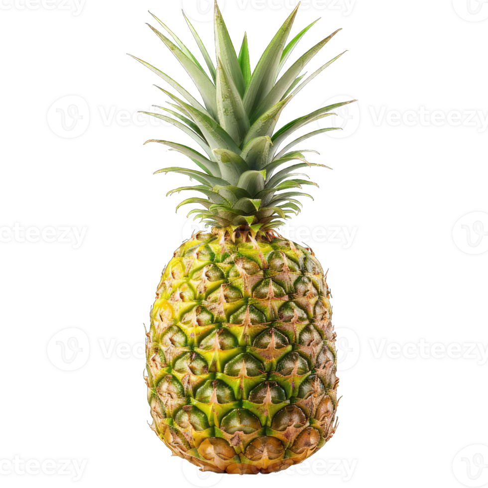 Fresh Pineapple Fruit png