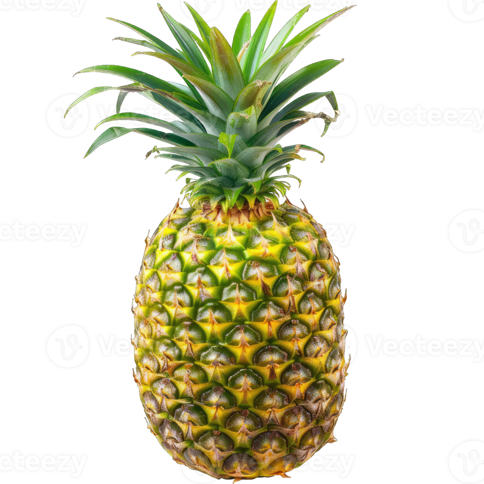 Fresh Pineapple Fruit png