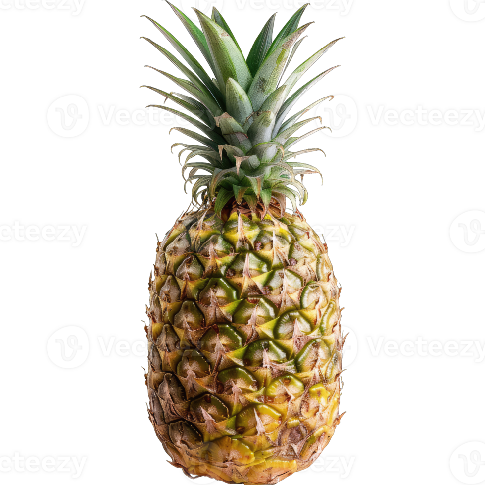 Fresh Pineapple Fruit png