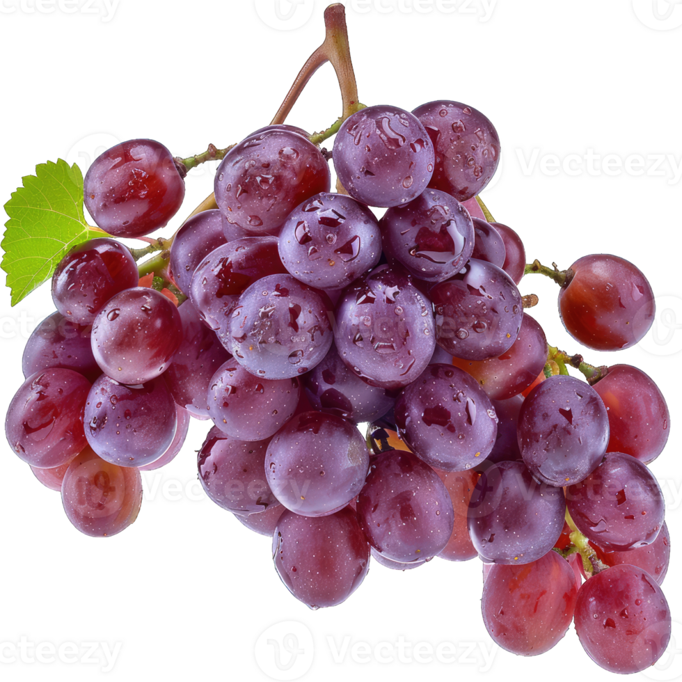 Fresh Grape fruit png