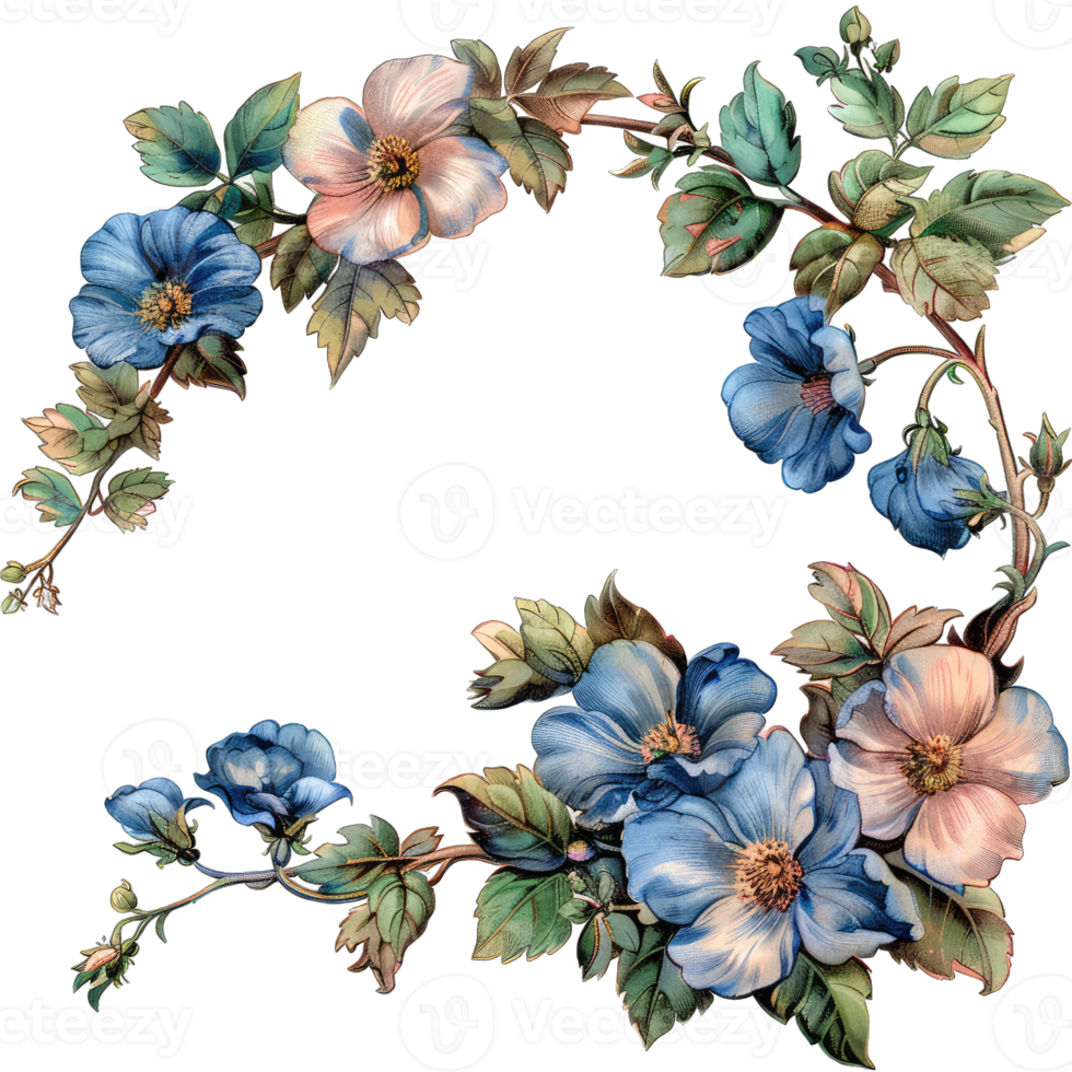 an illustration of flowers in a frame png