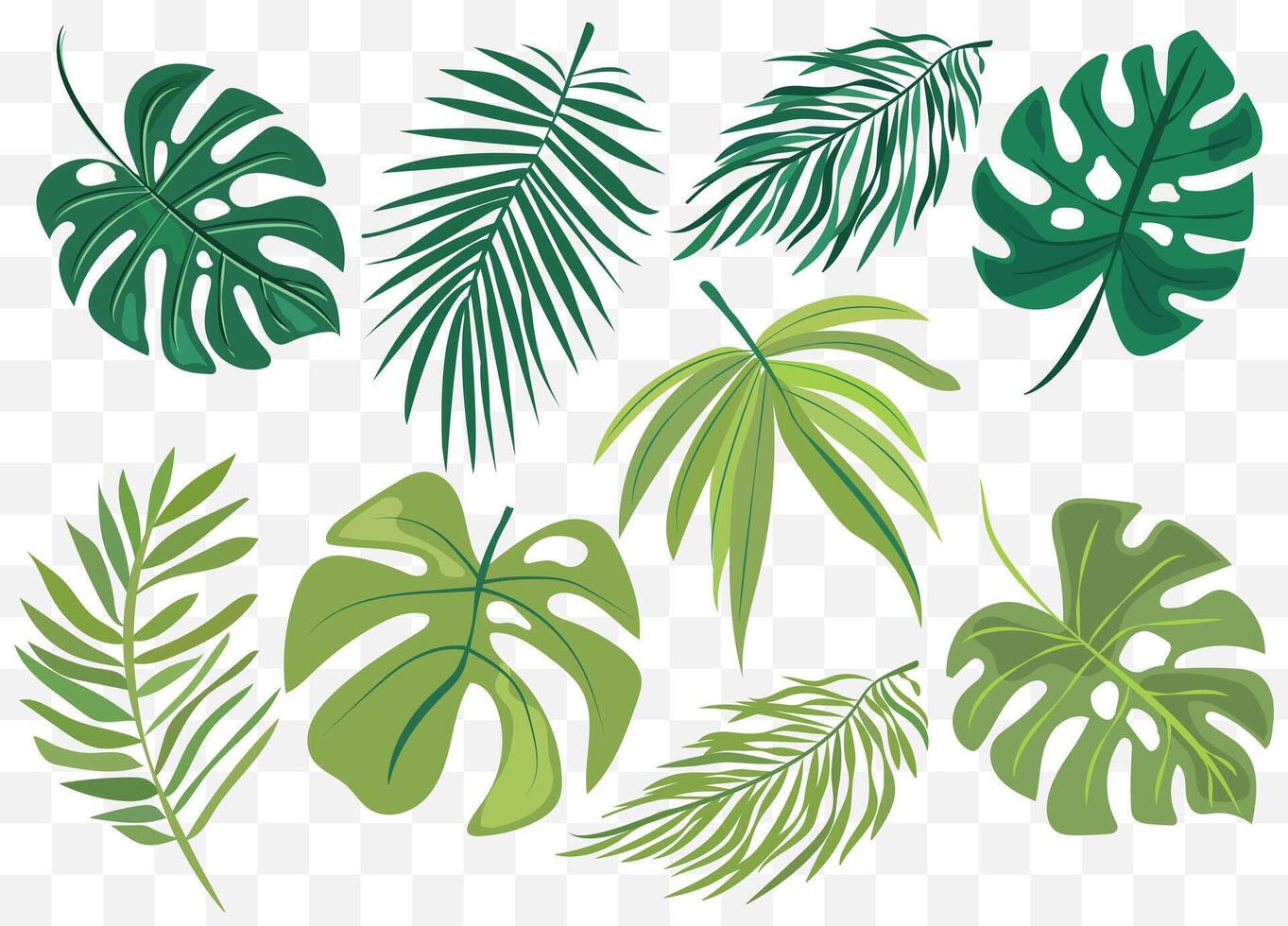 features eight different types of green leaves, each with distinct shapes and vein patterns. diverse foliage showcases various botanical designs, ideal for nature-related graphics and design projects vector
