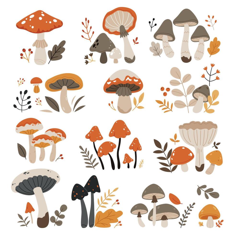 A set of autumn mushrooms.Forest wild mushrooms types.Poisonous and edible mushroom, chanterelle, cep, amanita and truffle isolated illustration set. vector