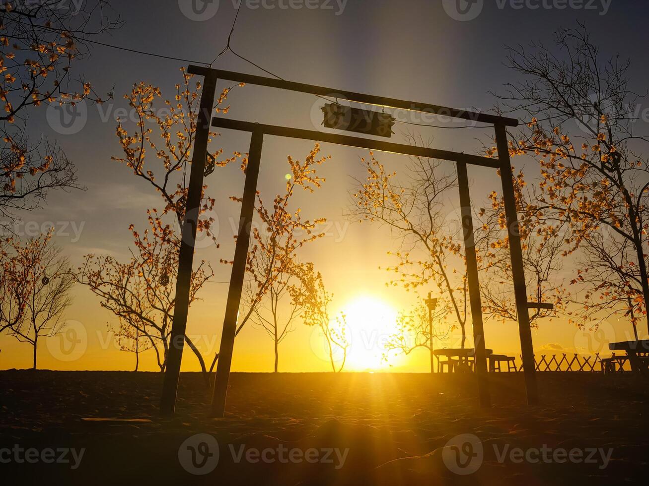 Silhouette of Tree branches and gate During the morning sun photo