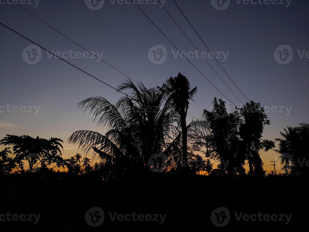 Silhouette of natural scenery as the sun rises on the horizon in the morning sky photo
