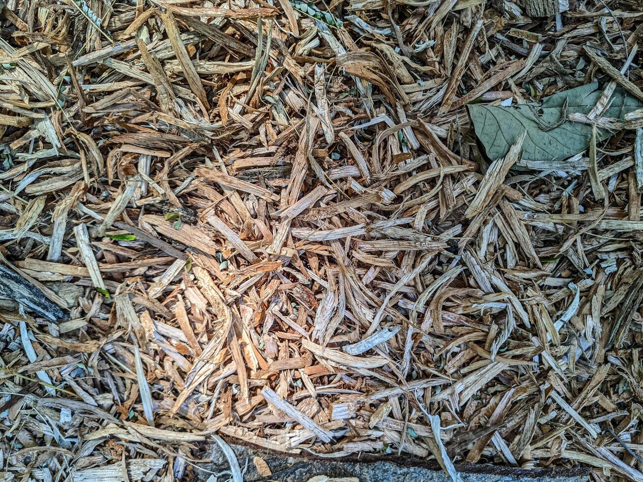 wood powder that is shaved by a machine photo