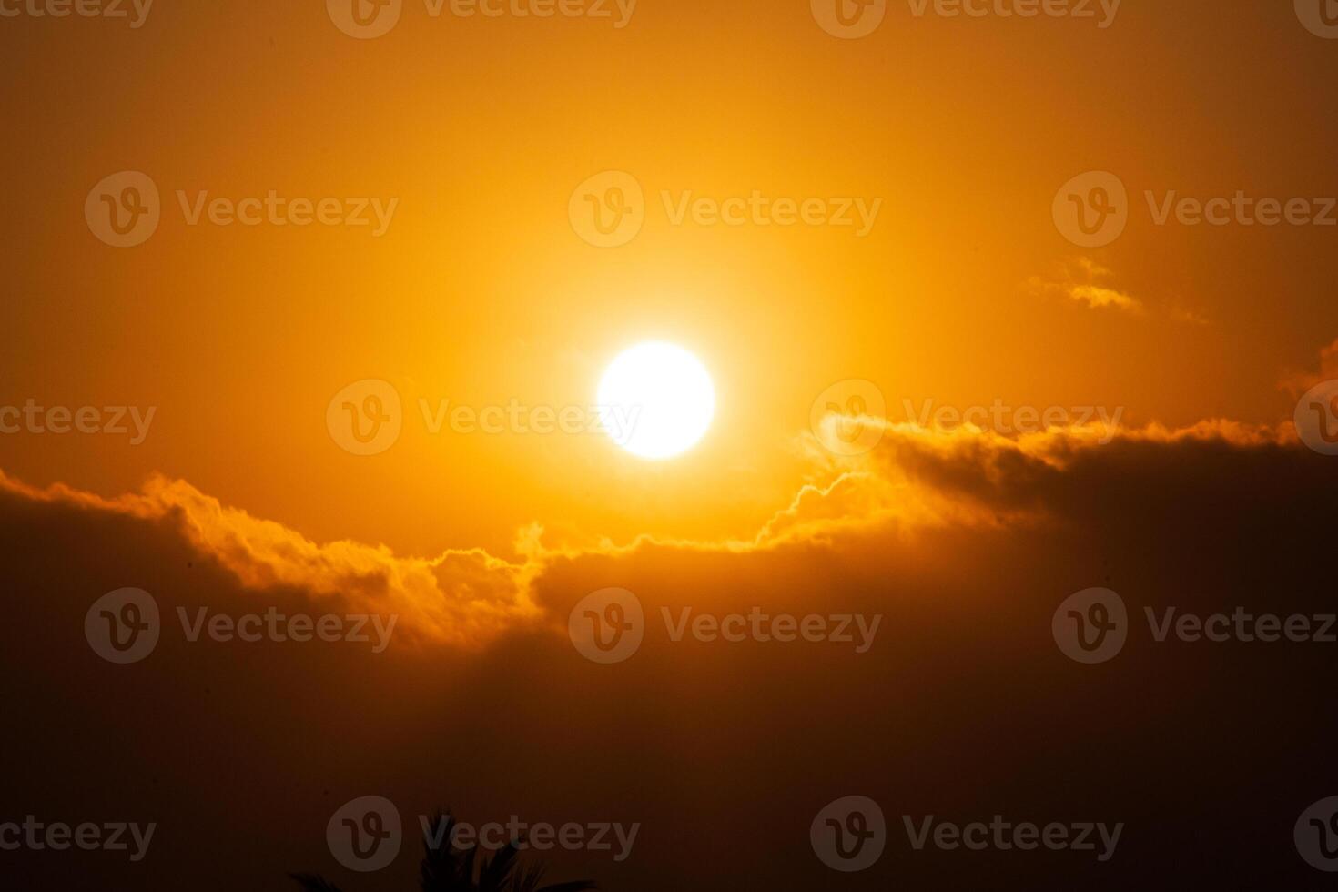 Golden Sunset in the Sky with clouds below photo