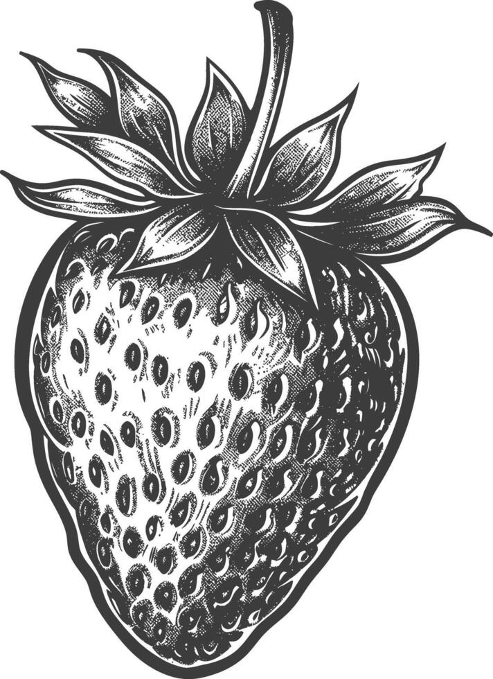 Detailed black and white sketch of a single strawberry with leaves vector