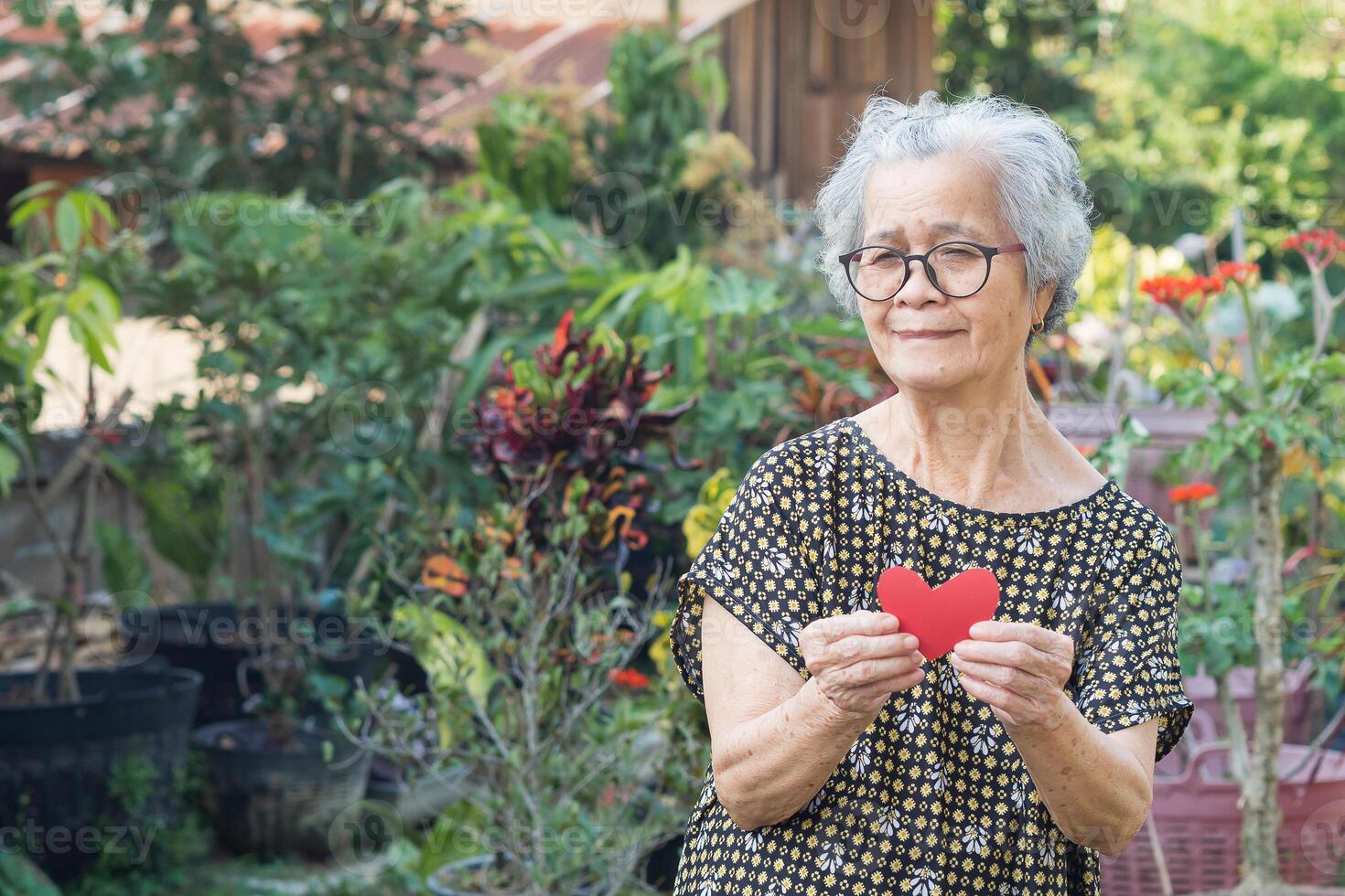 Portrait of an elderly Asian woman holding a red paper cut a heart shape, smiling and looking at the camera while standing in a garden. Valentine's day. Concept of aged people and love photo