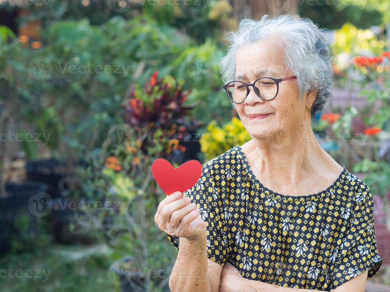 Portrait of an elderly Asian woman smiling, holding, and looking at a red paper cut a heart shape while standing in a garden. Valentine's day. Concept of aged people and love photo