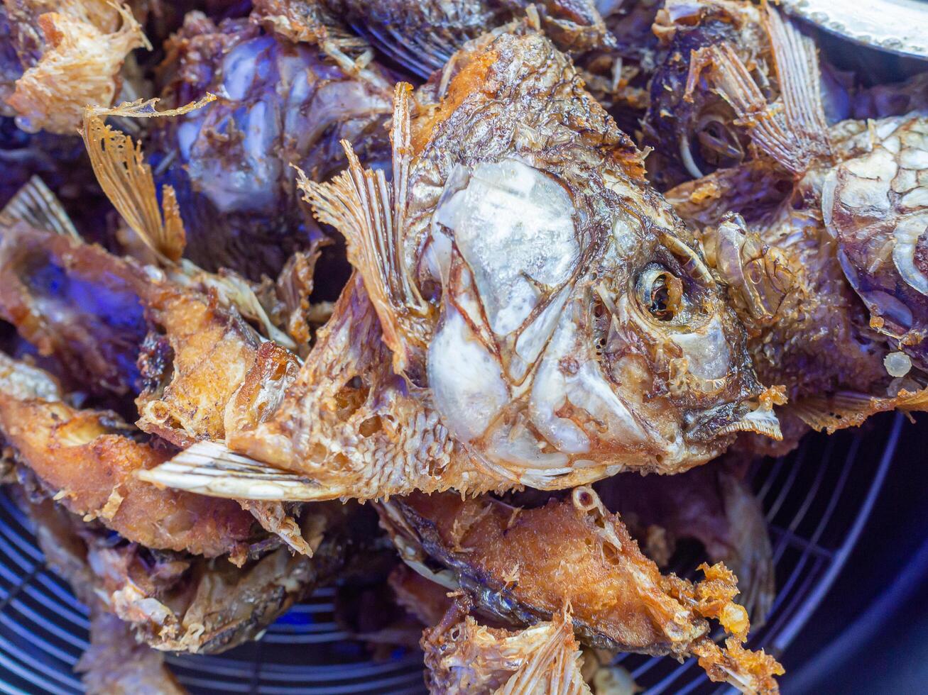 Close-up of tilapia fried piece on a colander photo