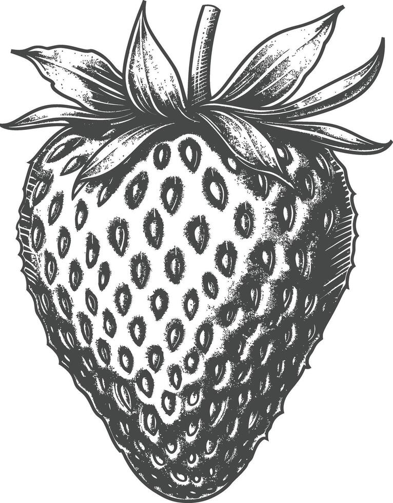 Detailed black and white sketch of a single strawberry with stem and leaves vector