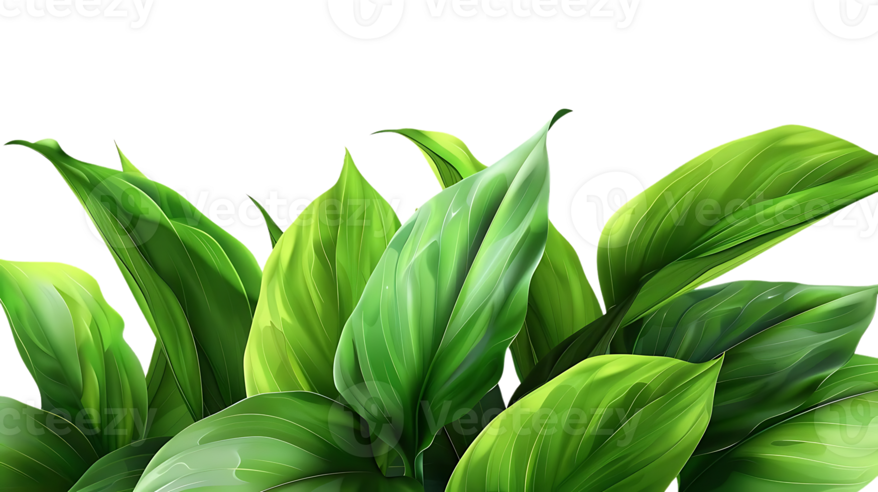 Vibrant Green Tropical Leaf Illustration png