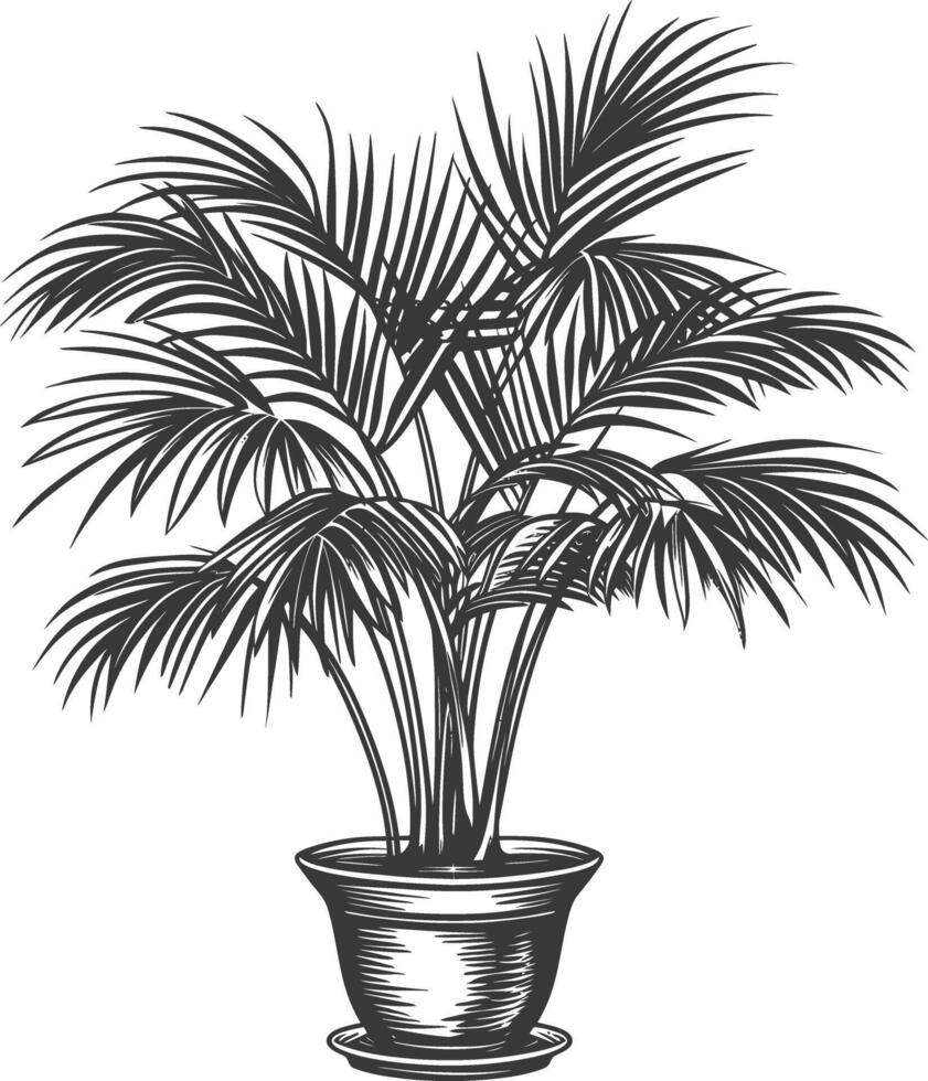 Ornate detailed sketch of a potted palm tree vector