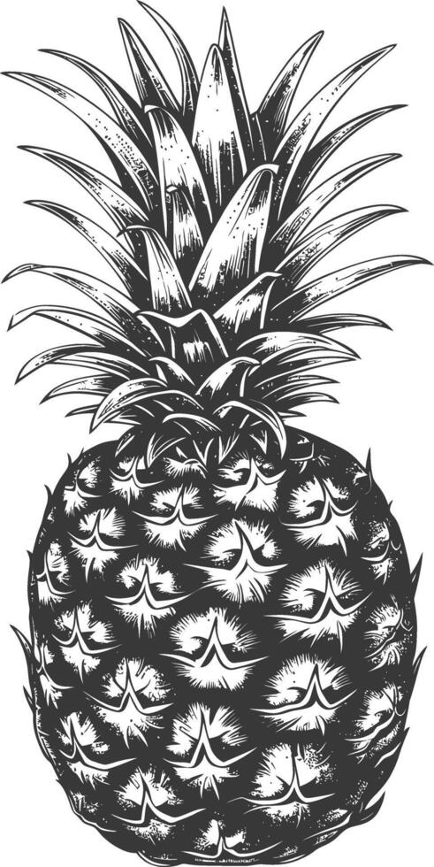 Detailed black and white pineapple sketch vector