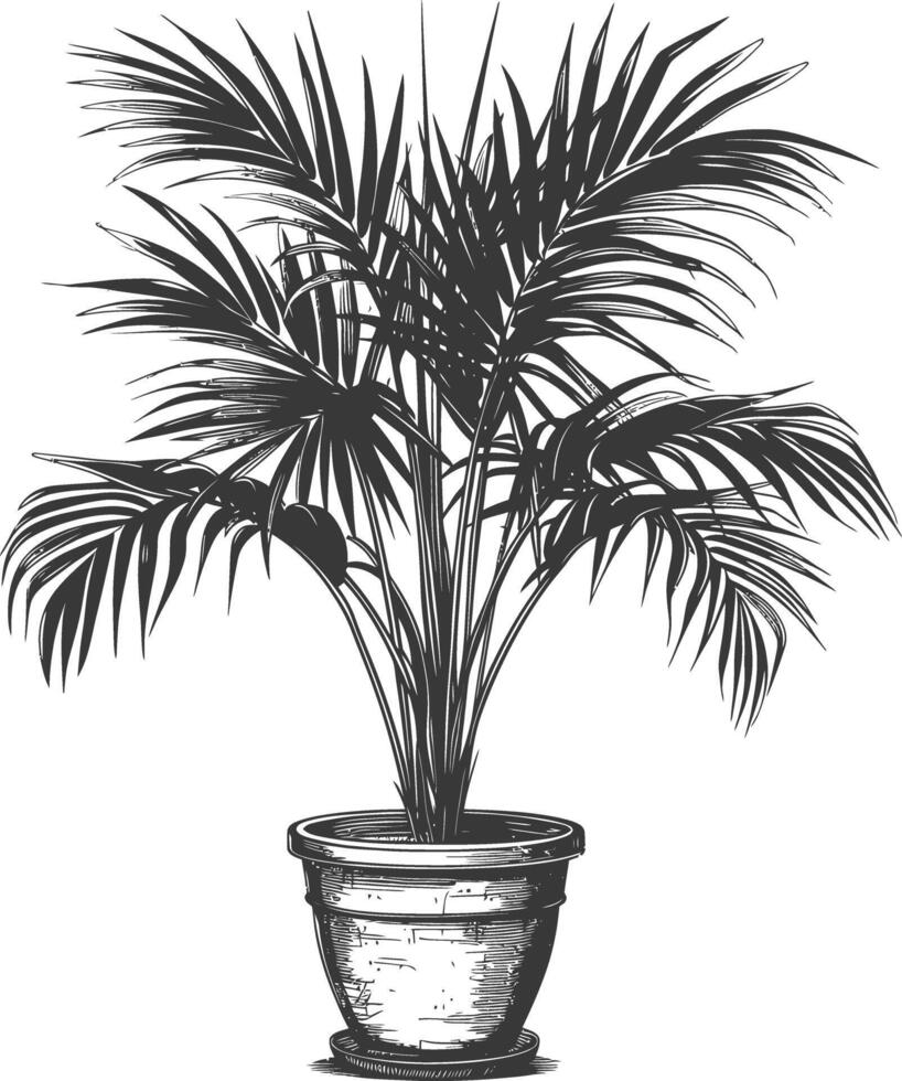 Ornamental Potted Palm Tree Detailed Line Drawing vector