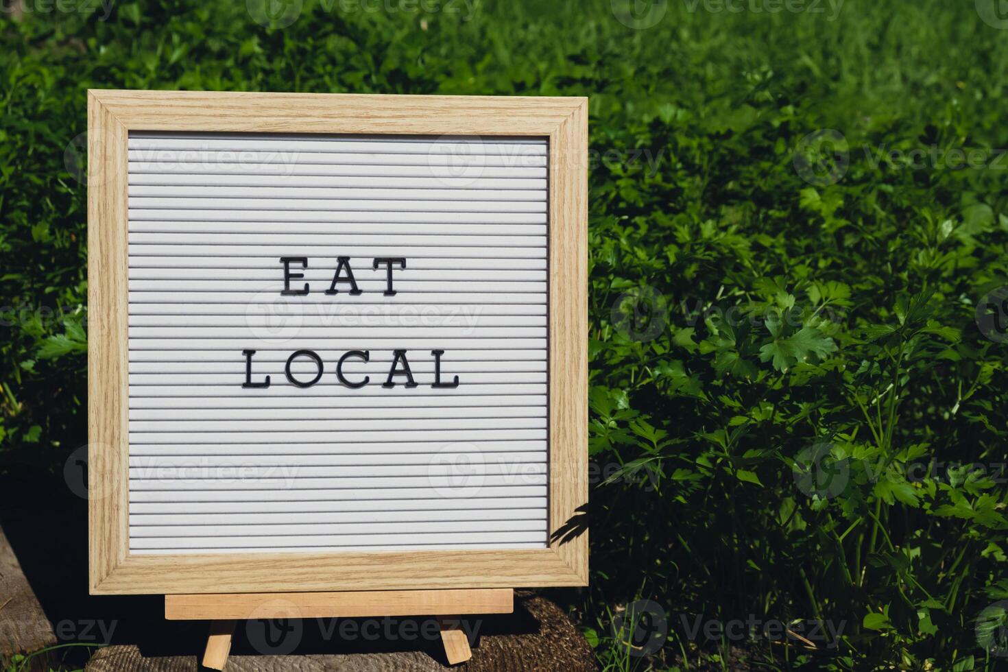 Letter board with text EAT LOCAL on background of garden bed with green herb parsley. Organic farming, produce local vegetables concept. Supporting local farmers. Seasonal market photo
