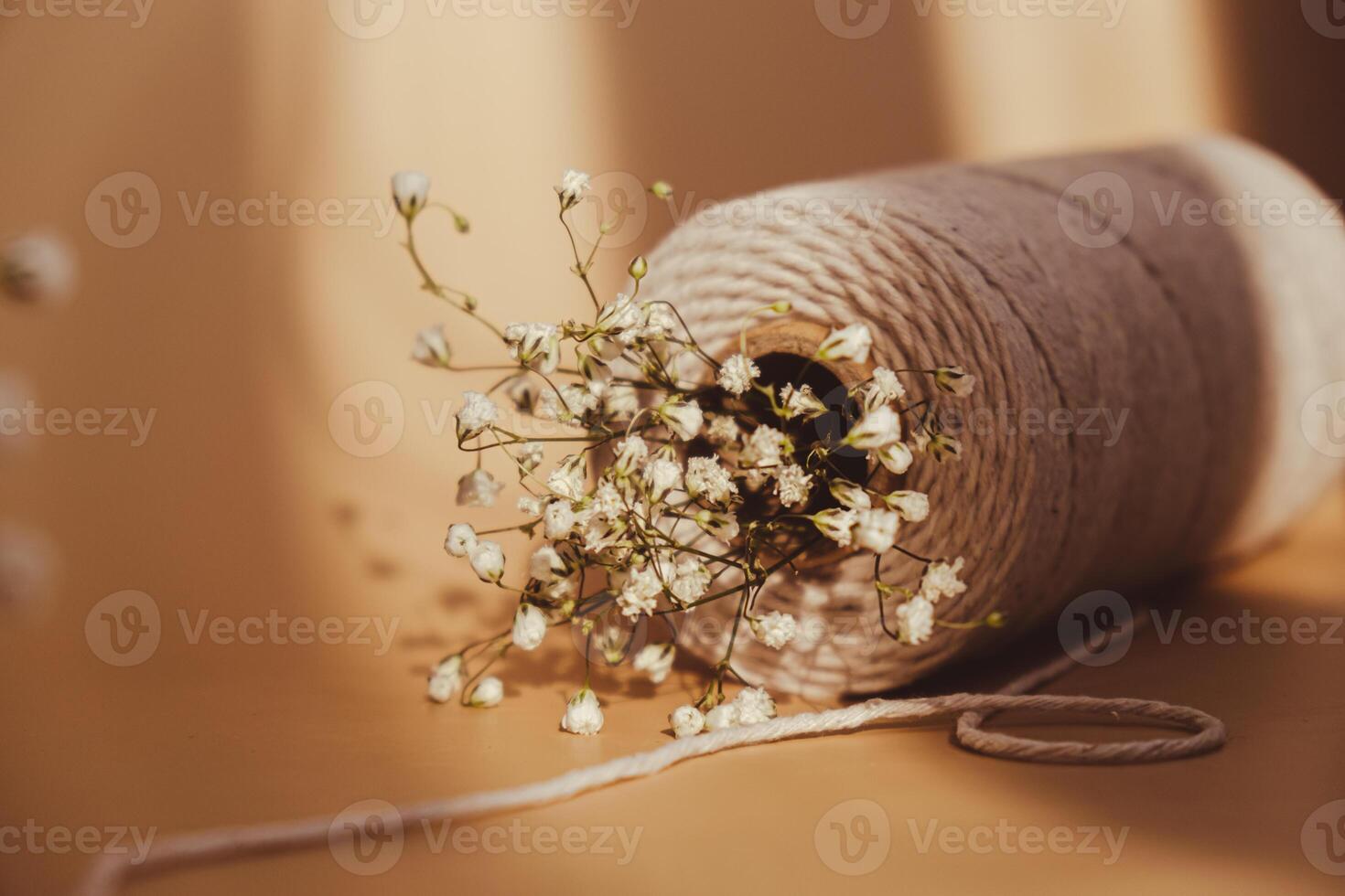 Delicate white flowers of gypsophila with spool of white cotton rope on neutral beige background. Minimal trendy composition. Romantic pastel Baby's Breath Flowers. Earth tones shadows. Greeting card for holidays. Monochrome concept photo