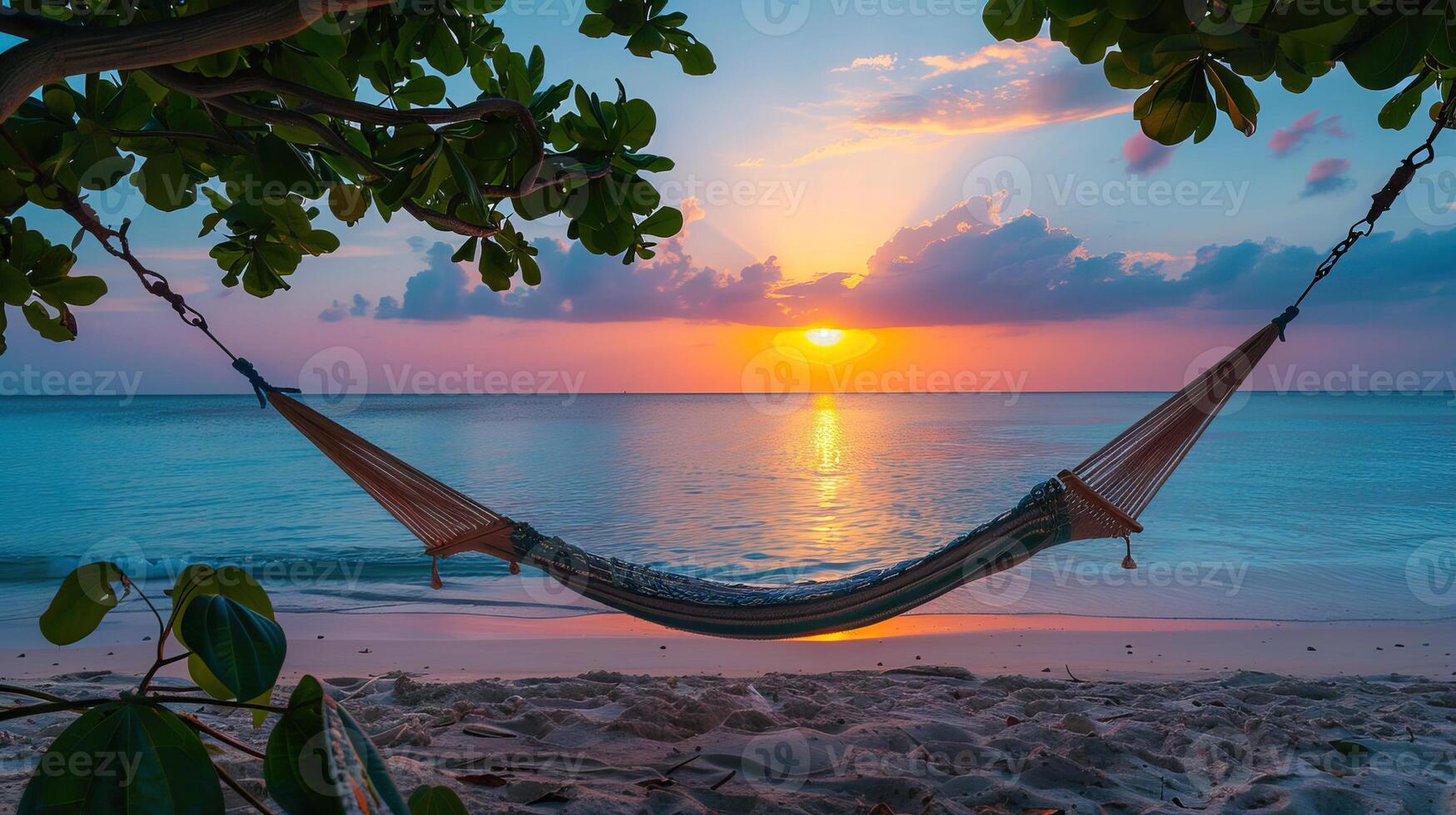 Beach hammock images hotsell