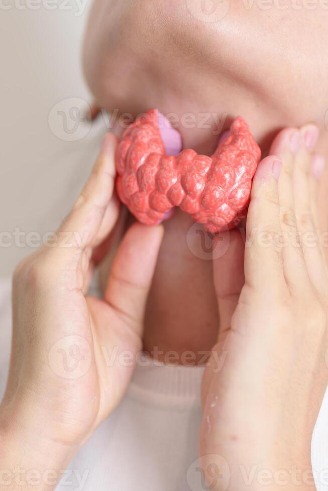 Woman holding human Thyroid anatomy model with her Neck. Hyperthyroidism, Hypothyroidism, Hashimoto Thyroiditis, Thyroid Tumor and Cancer, Postpartum, Papillary Carcinoma and Health concept photo