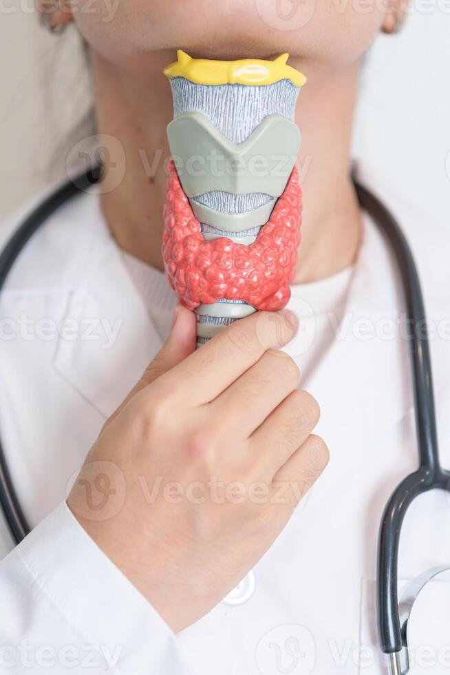 Doctor with human Thyroid anatomy model. Hyperthyroidism, Hypothyroidism, Hashimoto Thyroiditis, Thyroid Tumor and Cancer, Postpartum, Papillary Carcinoma and Health concept photo