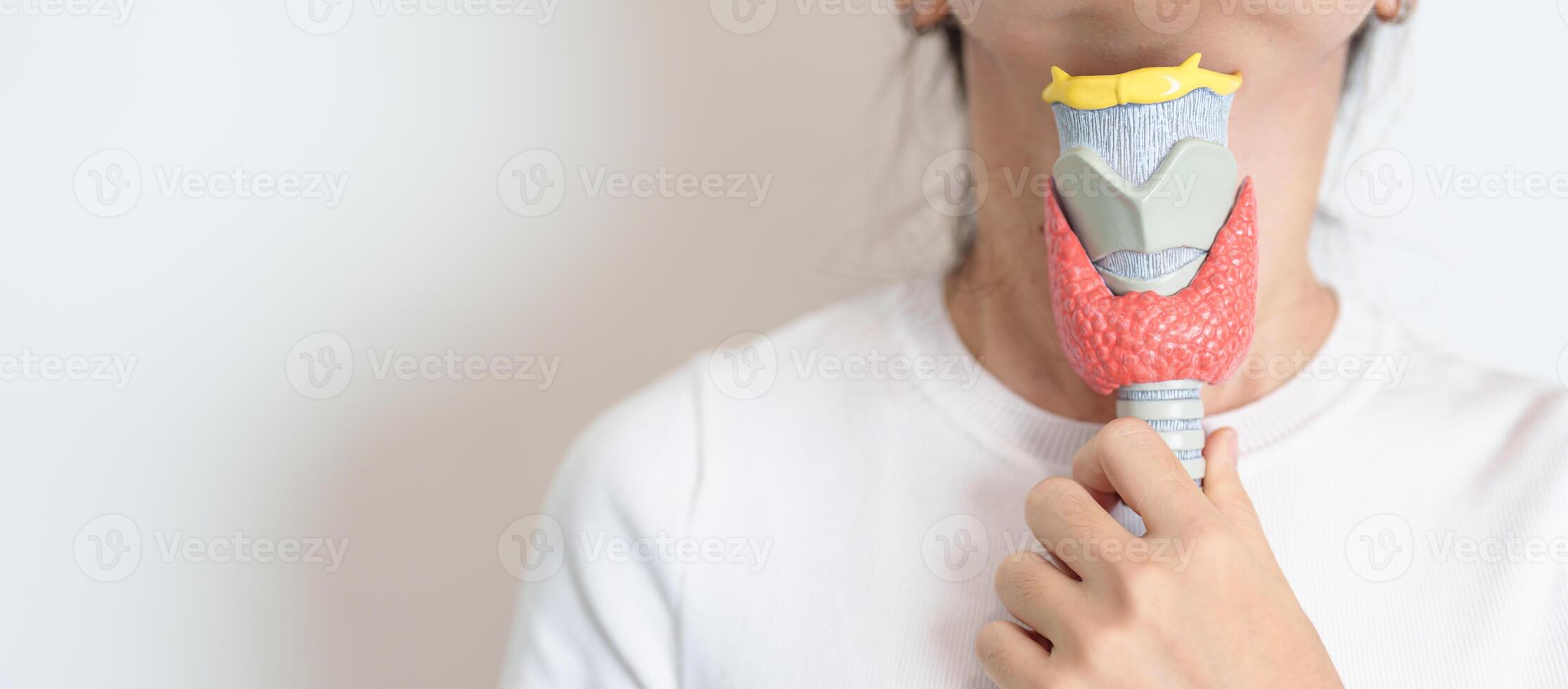 Woman holding human Thyroid anatomy model with her Neck. Hyperthyroidism, Hypothyroidism, Hashimoto Thyroiditis, Thyroid Tumor and Cancer, Postpartum, Papillary Carcinoma and Health concept photo