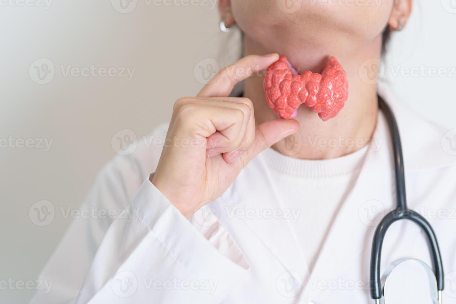 Doctor with human Thyroid anatomy model. Hyperthyroidism, Hypothyroidism, Hashimoto Thyroiditis, Thyroid Tumor and Cancer, Postpartum, Papillary Carcinoma and Health concept photo