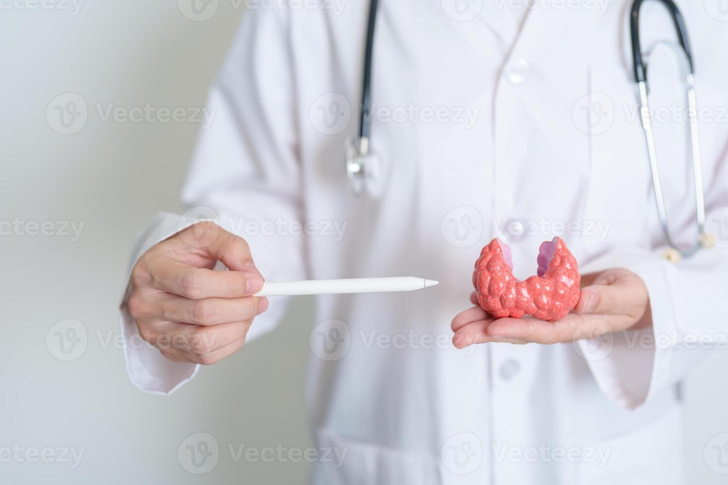 Doctor with human Thyroid anatomy model. Hyperthyroidism, Hypothyroidism, Hashimoto Thyroiditis, Thyroid Tumor and Cancer, Postpartum, Papillary Carcinoma and Health concept photo