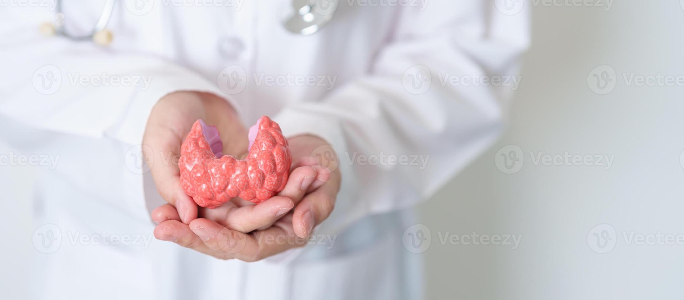 Doctor with human Thyroid anatomy model. Hyperthyroidism, Hypothyroidism, Hashimoto Thyroiditis, Thyroid Tumor and Cancer, Postpartum, Papillary Carcinoma and Health concept photo