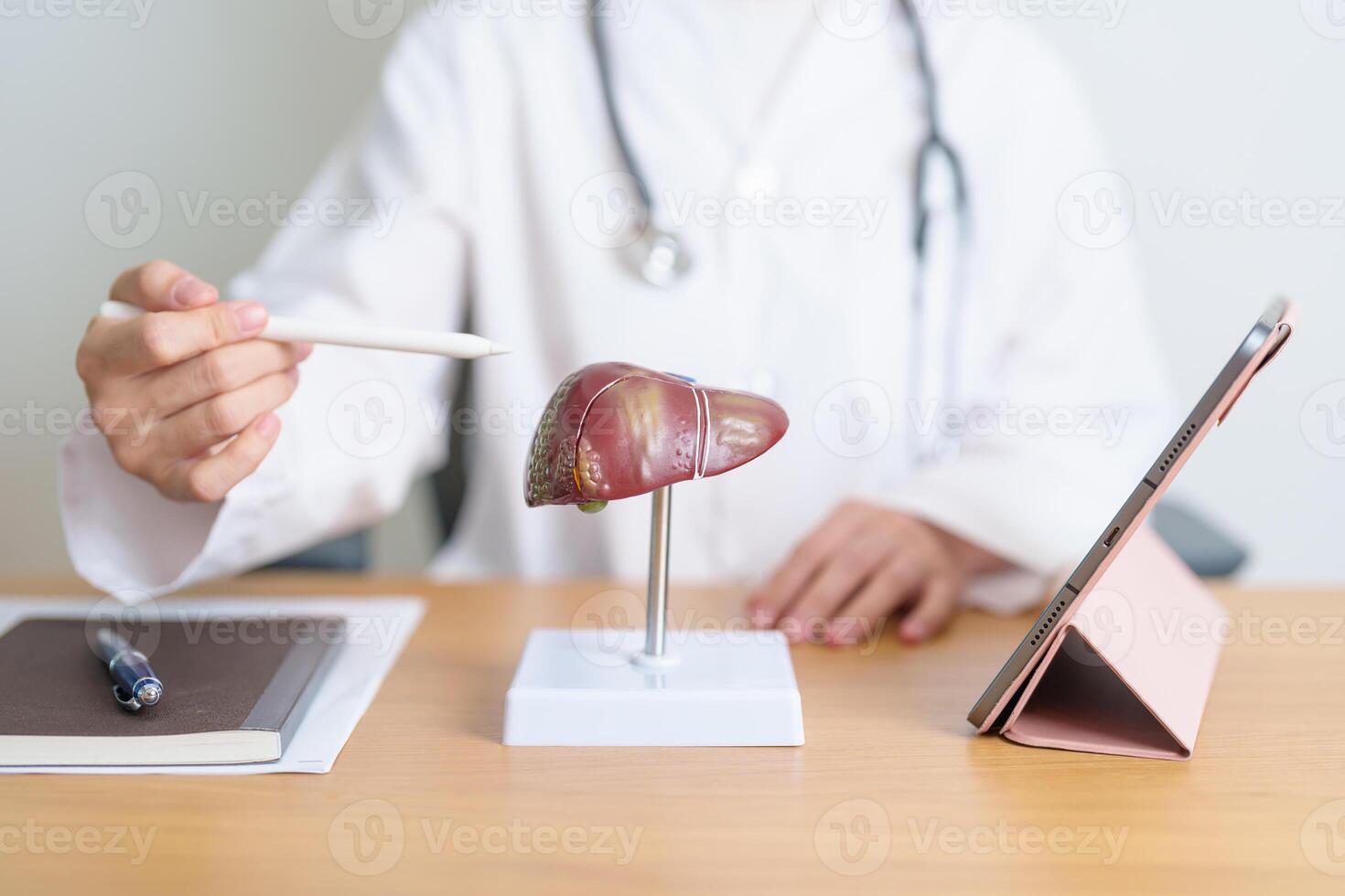 Doctor with human Liver model and tablet. Liver cancer and Tumor, Jaundice, Viral Hepatitis A, B, C, D, E, Cirrhosis, Failure, Enlarged, Hepatic Encephalopathy, Ascites Fluid in Belly and health photo