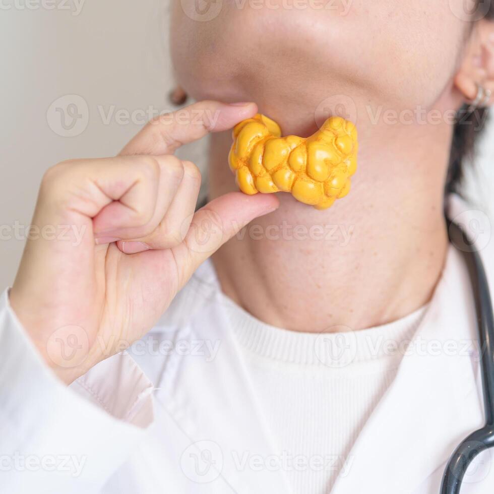 Doctor with human Thyroid anatomy model. Hyperthyroidism, Hypothyroidism, Hashimoto Thyroiditis, Thyroid Tumor and Cancer, Postpartum, Papillary Carcinoma and Health concept photo