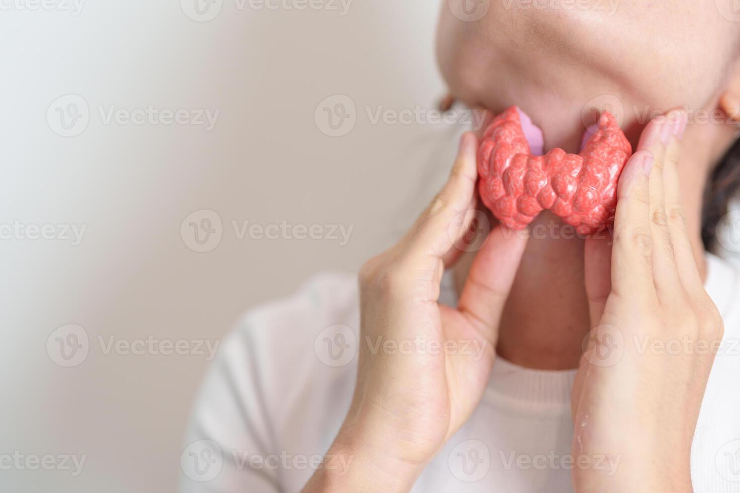 Woman holding human Thyroid anatomy model with her Neck. Hyperthyroidism, Hypothyroidism, Hashimoto Thyroiditis, Thyroid Tumor and Cancer, Postpartum, Papillary Carcinoma and Health concept photo