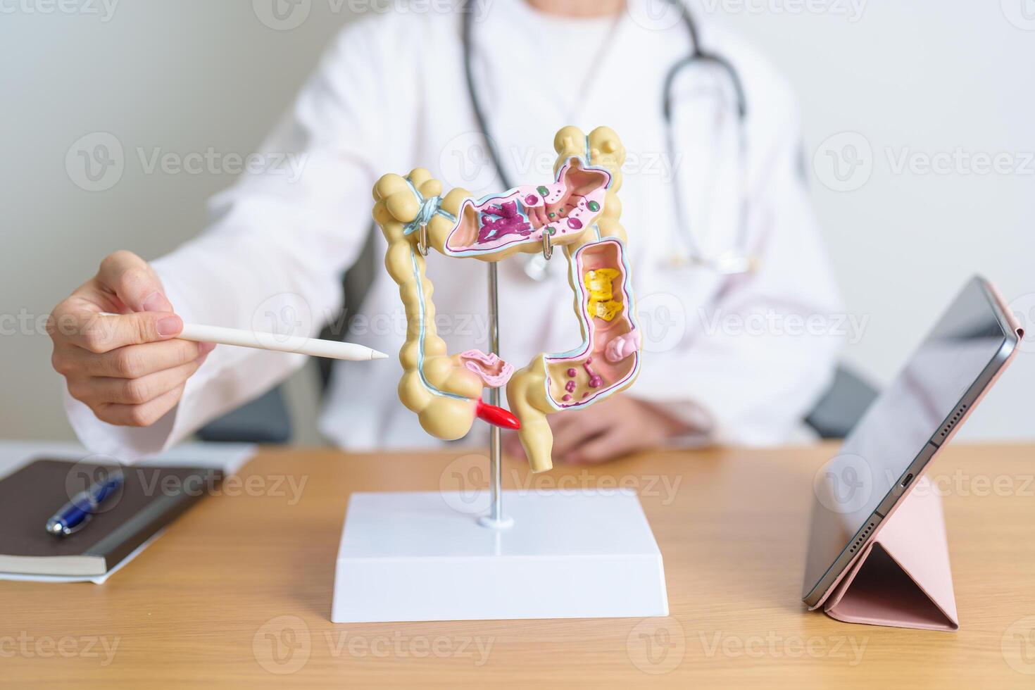 Doctor with human Colon anatomy model and tablet. Colonic disease, Large Intestine, Colorectal cancer, Ulcerative colitis, Diverticulitis, Irritable bowel syndrome and Digestive system photo