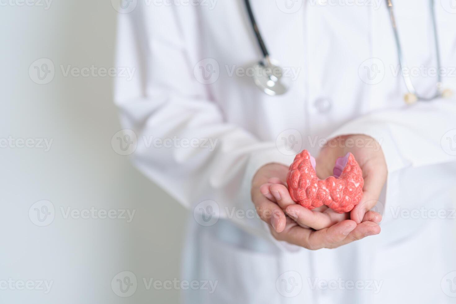 Doctor with human Thyroid anatomy model. Hyperthyroidism, Hypothyroidism, Hashimoto Thyroiditis, Thyroid Tumor and Cancer, Postpartum, Papillary Carcinoma and Health concept photo