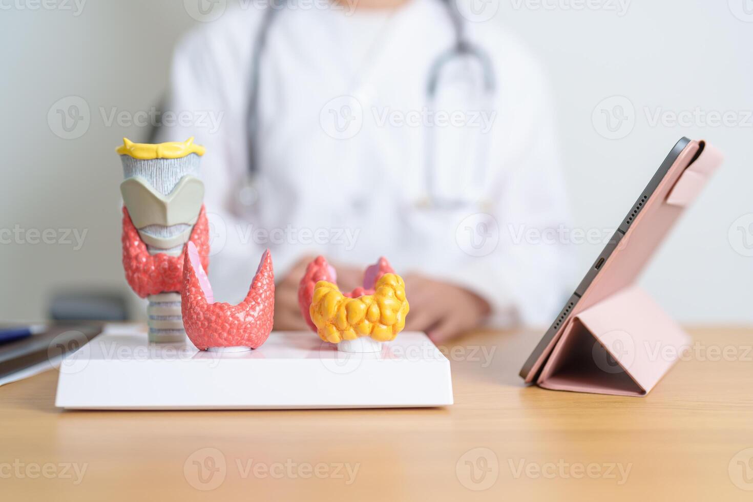 Doctor with human Thyroid anatomy model and tablet. Hyperthyroidism, Hypothyroidism, Hashimoto Thyroiditis, Thyroid Tumor and Cancer, Postpartum, Papillary Carcinoma and Health concept photo