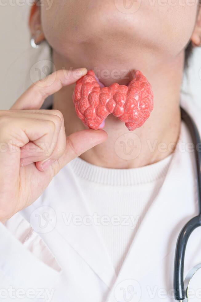 Doctor with human Thyroid anatomy model. Hyperthyroidism, Hypothyroidism, Hashimoto Thyroiditis, Thyroid Tumor and Cancer, Postpartum, Papillary Carcinoma and Health concept photo