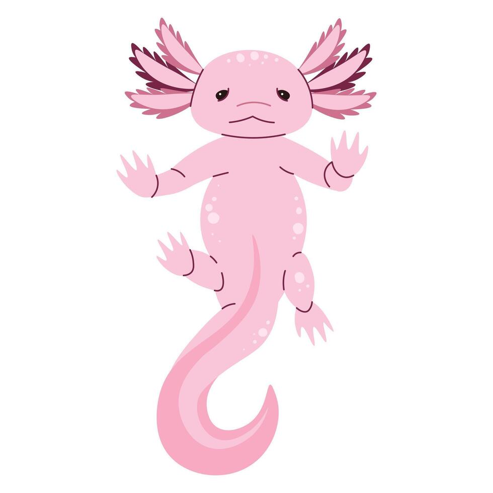Cute pink axolotl on a white background. Exotic amphibian, marine inhabitant. For design, decor, stickers vector