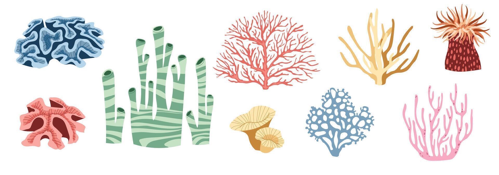 Set of flat seaweeds, corals, reefs on a white background. illustration of aquatic plants in doodle style. Suitable for decoration, sticker design vector
