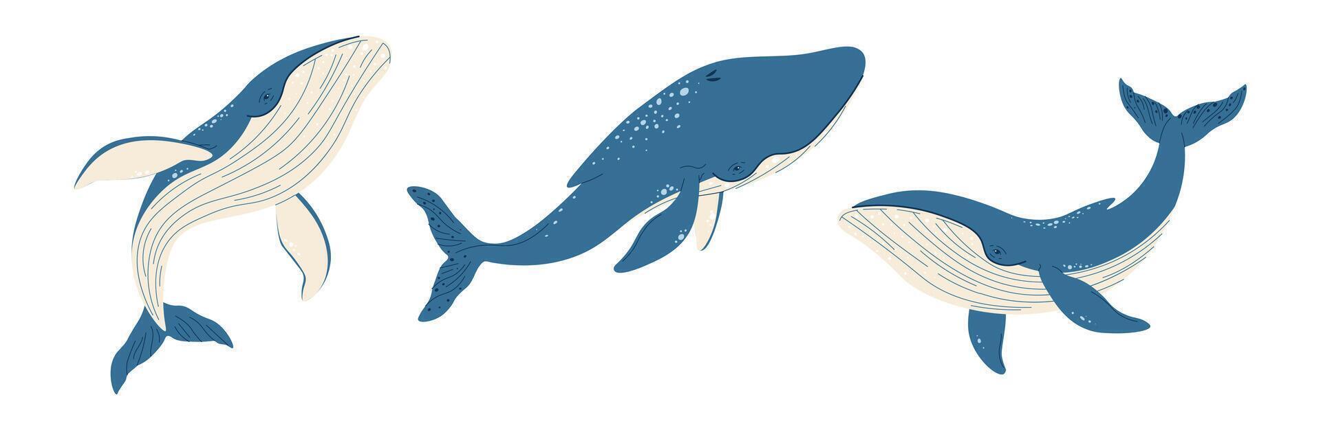 Set of cartoon whales on a white background. illustration of sea creatures in doodle style. Suitable for decoration, sticker design vector