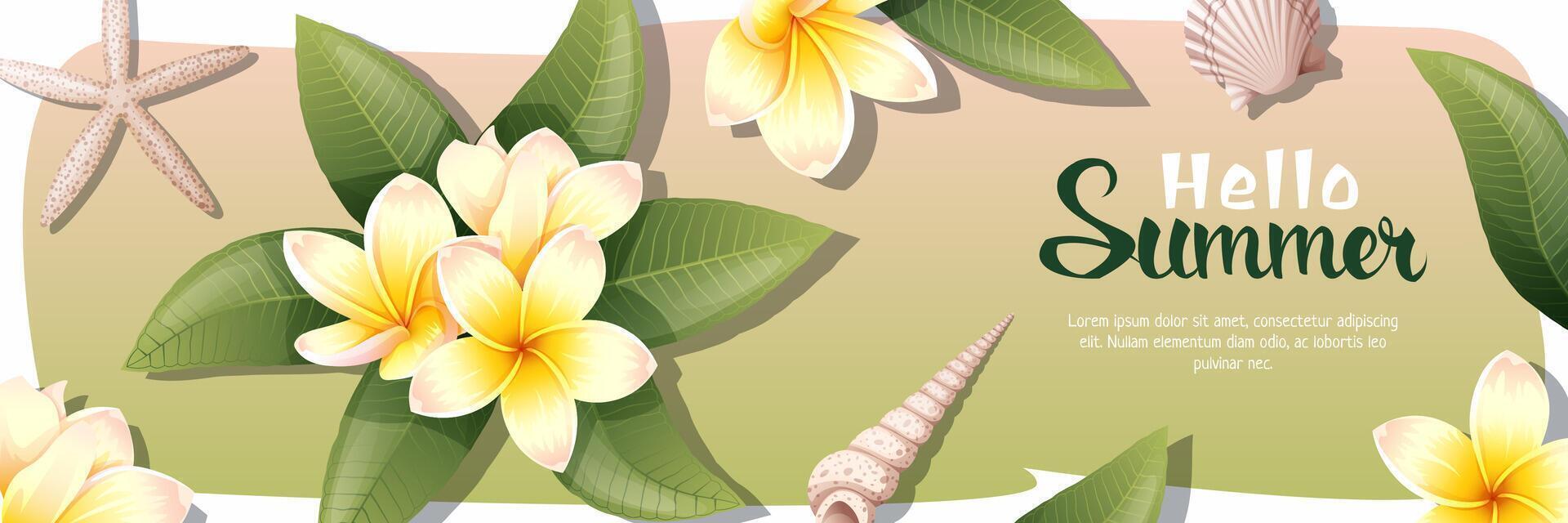 Summer sale banner with plumeria. Background with tropical Thai flower. Yellow Frangipani with shells and clams vector