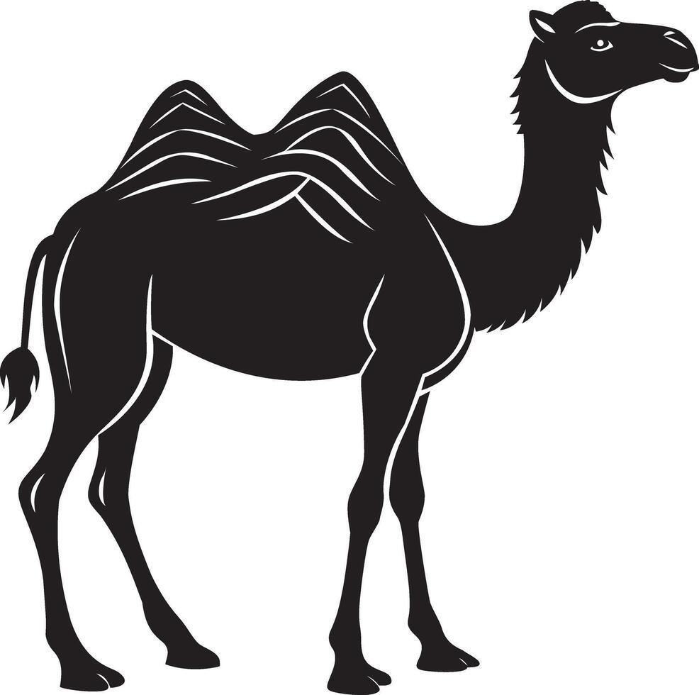 Arabian camel, desert domestic bedoin animal decorated with textile saddle. Arabic mammal profile, standing with traditional fabric decor on hump. Flat illustration isolated on white background vector