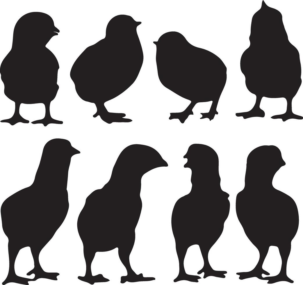 silhouette of chicken silhouette set vector