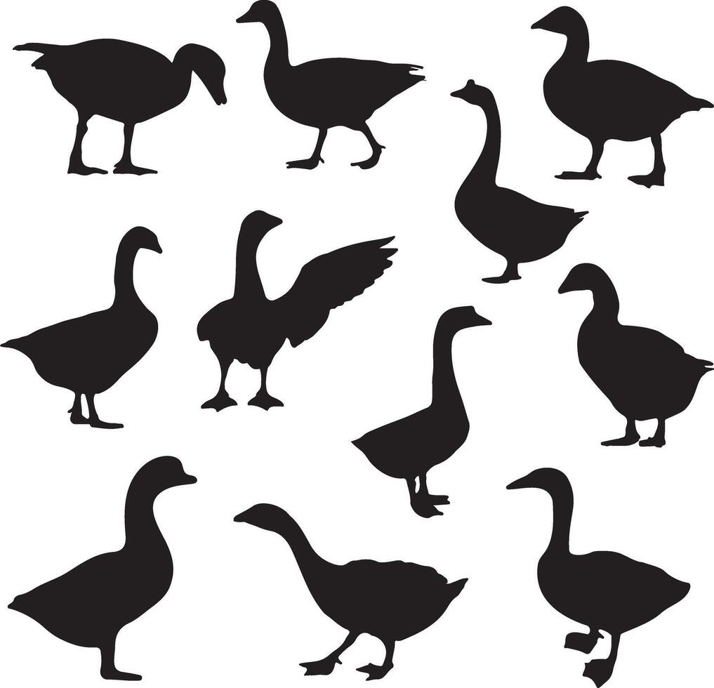 a set of silhouettes of various ducks vector